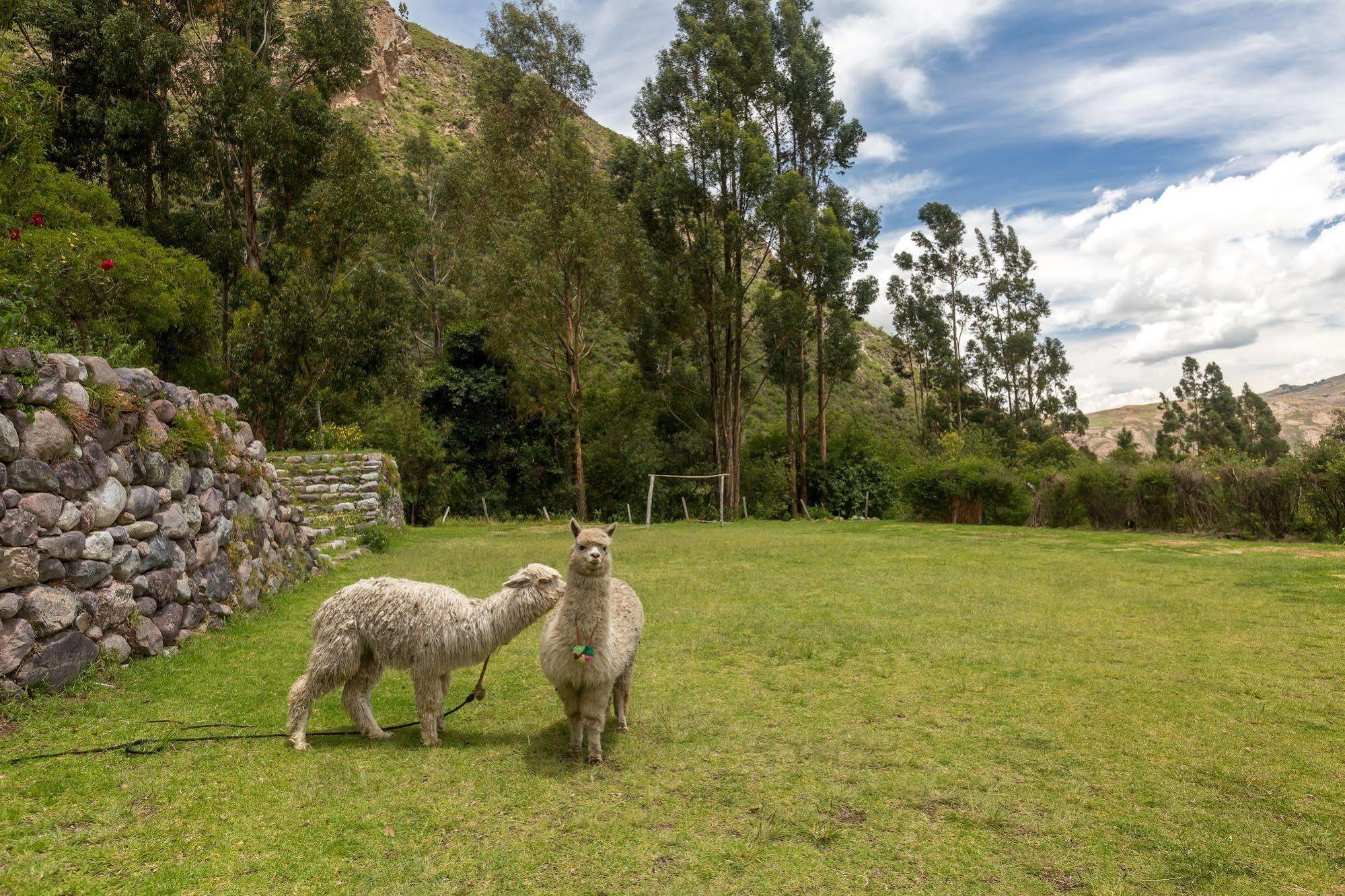 Hotel Hacienda Del Valle أُروبامبا المظهر الخارجي الصورة